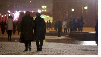 Небольшой снег и мороз придут в Петербург 7 января