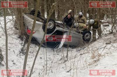Сегодня в Смоленской области в ДТП пострадала автоледи