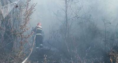 Грузию охватили лесные пожары: с огнем борются сотни пожарных