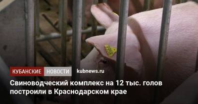 Свиноводческий комплекс на 12 тыс. голов построили в Краснодарском крае