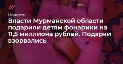 Власти Мурманской области подарили детям фонарики на 11,5 миллиона рублей. Подарки взорвались