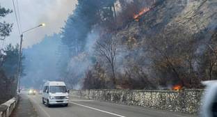 Поджог травы назван причиной пожаров в Абхазии