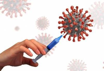 Вирусолог Александр Чепурнов назвал идеальное время для вакцинации людей, переболевших коронавирусом