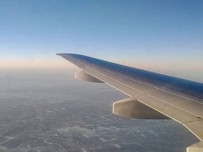 Экипажу рейса Москва-Уфа пришлось развернуть самолёт из-за неадекватного пассажира