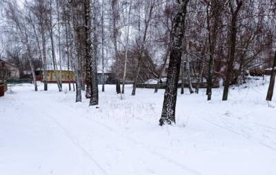 Снег и мороз возвращаются в Украину: с какой стороны будут заходить холода