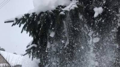 Петербуржцев предупредили о 2-х волнах морозов после Рождества