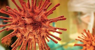 Вирусолог оценил опасность нового штамма коронавируса для России