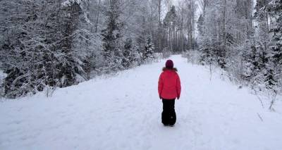 Снег и холод в Латвии: синоптики дали прогноз на две недели
