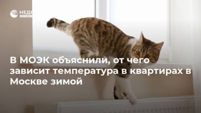 В МОЭК объяснили, от чего зависит температура в квартирах в Москве зимой