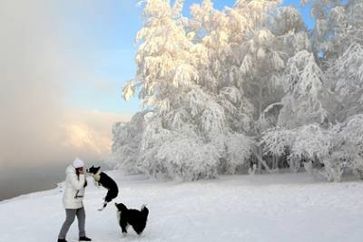 Россиян предупредили о похолодании после новогодних праздников