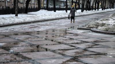 В Москве в пятницу ожидается до -4°С и гололедица