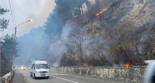 Природные пожары создали угрозу для сел в Грузии и Абхазии