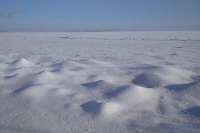 Саратовцам обещают, что сегодня регион засыплет снегом