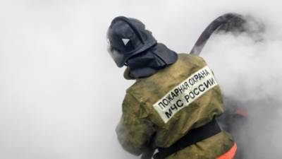 Спасатели тушат крупный пожар в мебельном ангаре под Москвой