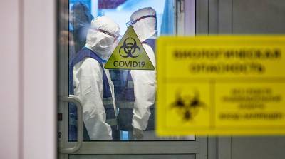 В России выявлено 23652 новых случая коронавируса