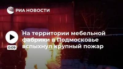 На территории мебельной фабрики в Подмосковье вспыхнул крупный пожар