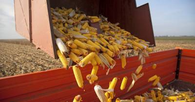Кукуруза вместо нефти. Как Россию выдавливают из мировой экономики