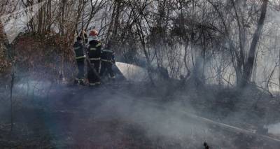 В Грузии 500 спасателей тушат пожар на семи локациях