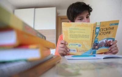 Школы Киева выходят с каникул, но учеба будет дистанционной