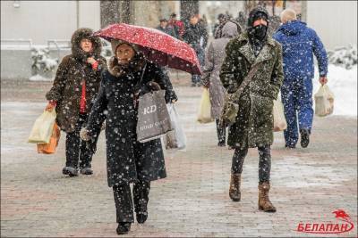 За сутки в Беларуси из-за снегопадов нарушалось электроснабжение 135 населенных пунктов
