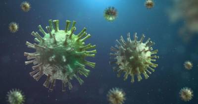 Вирусолог призвал не бояться хронического коронавируса
