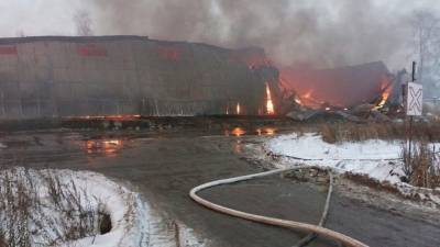 Пожарные справились с огнем на мебельной фабрике в Подмосковье