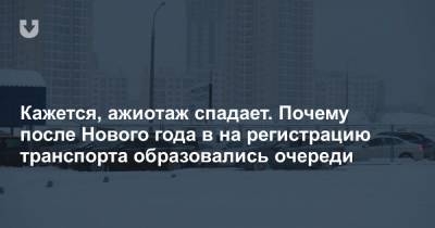 Слишком много выходных или транспортный налог? Что говорят в очереди на сверку номеров в Ждановичах