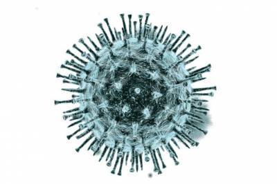 В Прикамье зафиксировано 290 случаев коронавируса
