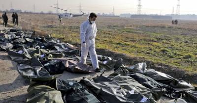Зеленский обещает наказание для виновников в сбивании самолета МАУ над Тегераном