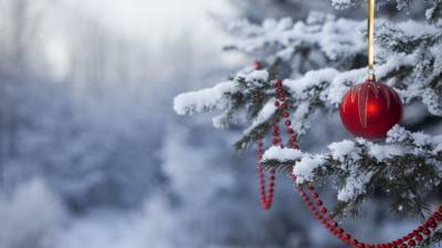 Синоптики прогнозируют, что на выходных страну засыплет снегом