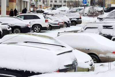 Власти Москвы отреагировали на приход резкого похолодания