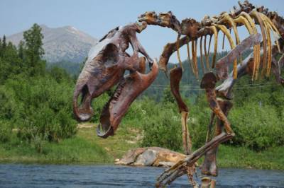 В Китае обнаружены редкие окаменелости динозавра возрастом около 70 млн лет