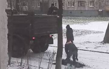 Видеофакт: Бобруйские дорожники укладывают асфальт на снег