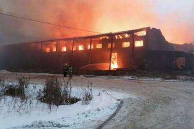 Мощный пожар вспыхнул на мебельной фабрике под Москвой (ВИДЕО)