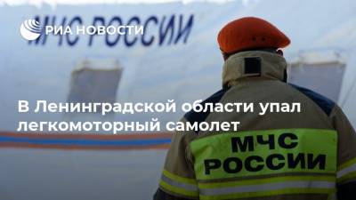 В Ленинградской области упал легкомоторный самолет