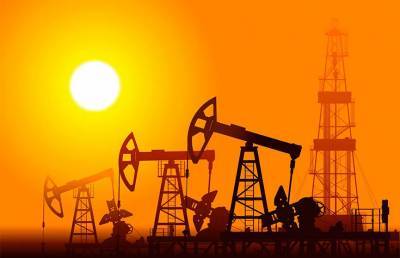 Цена нефти марки Brent впервые за год достигла $55