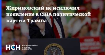 Жириновский не исключил появление в США политической партии Трампа