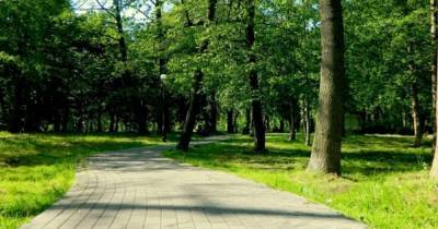 Зеленоградск потратит до 14,8 млн рублей на благоустройство городского парка