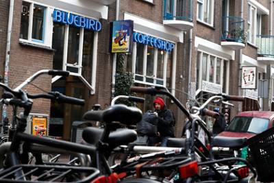 Амстердам решил лишить туристов легких наркотиков