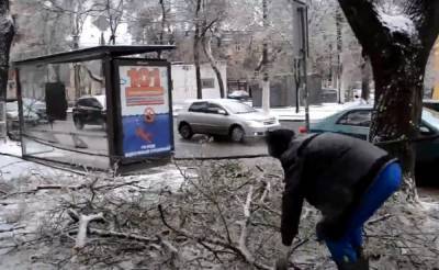 Без керосинок и свечей не обойтись: непогода в Украине натворила немало бед – какие области пострадали