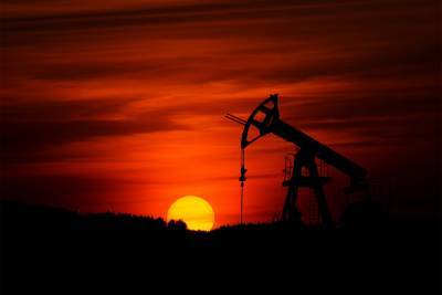 Стоимость нефти Brent впервые с февраля 2020 поднялась выше $55