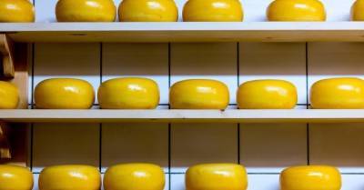 Украина почти вдвое увеличила импорт сыра