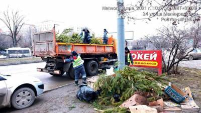Власти Ростова прокомментировали свалки из нераспроданных елок по городе