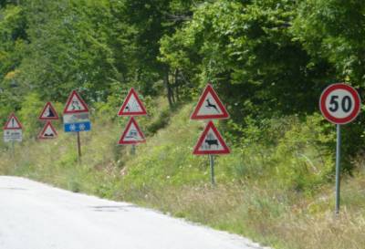 В России весной появится новый дорожный знак