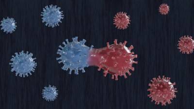Врач: вот в чем разница между обычным коронавирусом и мутацией