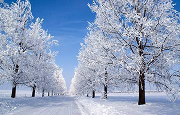 Снег и до -6°С ожидается в Беларуси в субботу