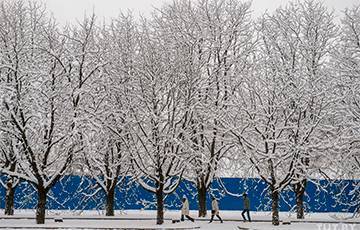 В Минск пришла настоящая зима