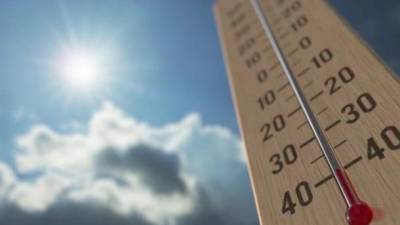 Самый теплый год: 2020-й побил температурный рекорд Европы