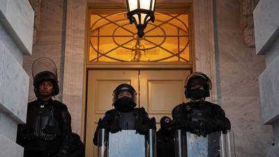 Россиян среди задержанных в ходе беспорядков в Вашингтоне не выявлено