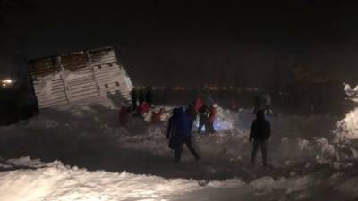 В Норильске сообщили о спасённом после схода лавины подростке